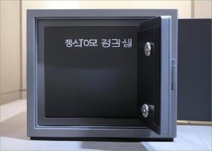팩세이프 V힙색 바이브100...